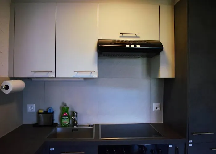 Hillcrest Lakeview Close To Interlaken Spiez